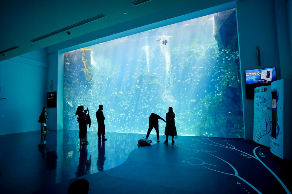 桃園旅遊｜桃園親子景點 Xpark水族館 都會型水生公園（kkday購票）桃園雨天室內景點推薦！還可以近距離跟企鵝一起用餐~
