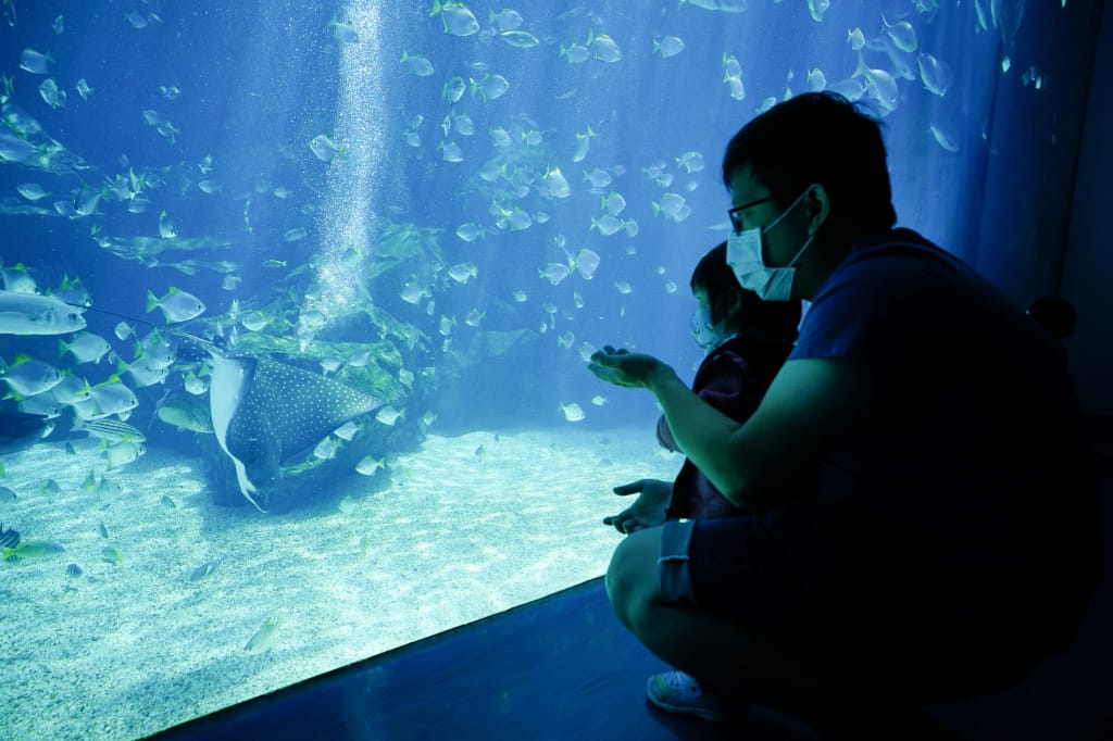 桃園旅遊｜桃園親子景點 Xpark水族館 都會型水生公園（kkday購票）桃園雨天室內景點推薦！還可以近距離跟企鵝一起用餐~