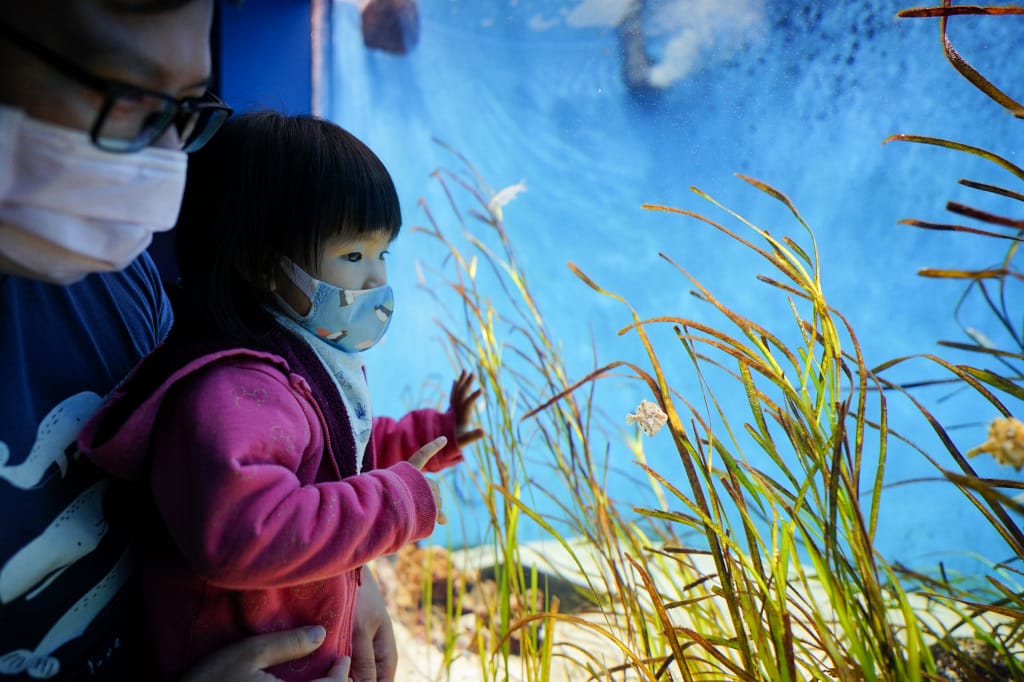 桃園旅遊｜桃園親子景點 Xpark水族館 都會型水生公園（kkday購票）桃園雨天室內景點推薦！還可以近距離跟企鵝一起用餐~