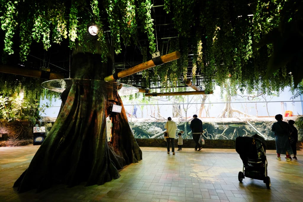 桃園旅遊｜桃園親子景點 Xpark水族館 都會型水生公園（kkday購票）桃園雨天室內景點推薦！還可以近距離跟企鵝一起用餐~