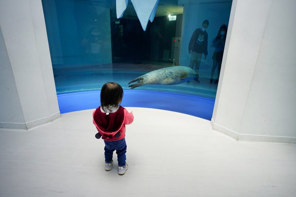 桃園旅遊｜桃園親子景點 Xpark水族館 都會型水生公園（kkday購票）桃園雨天室內景點推薦！還可以近距離跟企鵝一起用餐~