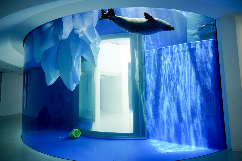 桃園旅遊｜桃園親子景點 Xpark水族館 都會型水生公園（kkday購票）桃園雨天室內景點推薦！還可以近距離跟企鵝一起用餐~