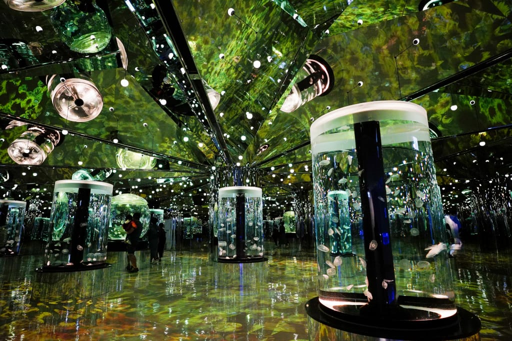 桃園旅遊｜桃園親子景點 Xpark水族館 都會型水生公園（kkday購票）桃園雨天室內景點推薦！還可以近距離跟企鵝一起用餐~
