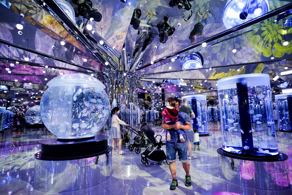 桃園旅遊｜桃園親子景點 Xpark水族館 都會型水生公園（kkday購票）桃園雨天室內景點推薦！還可以近距離跟企鵝一起用餐~
