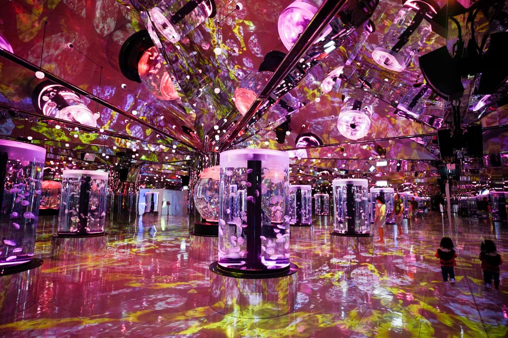 桃園旅遊｜桃園親子景點 Xpark水族館 都會型水生公園（kkday購票）桃園雨天室內景點推薦！還可以近距離跟企鵝一起用餐~