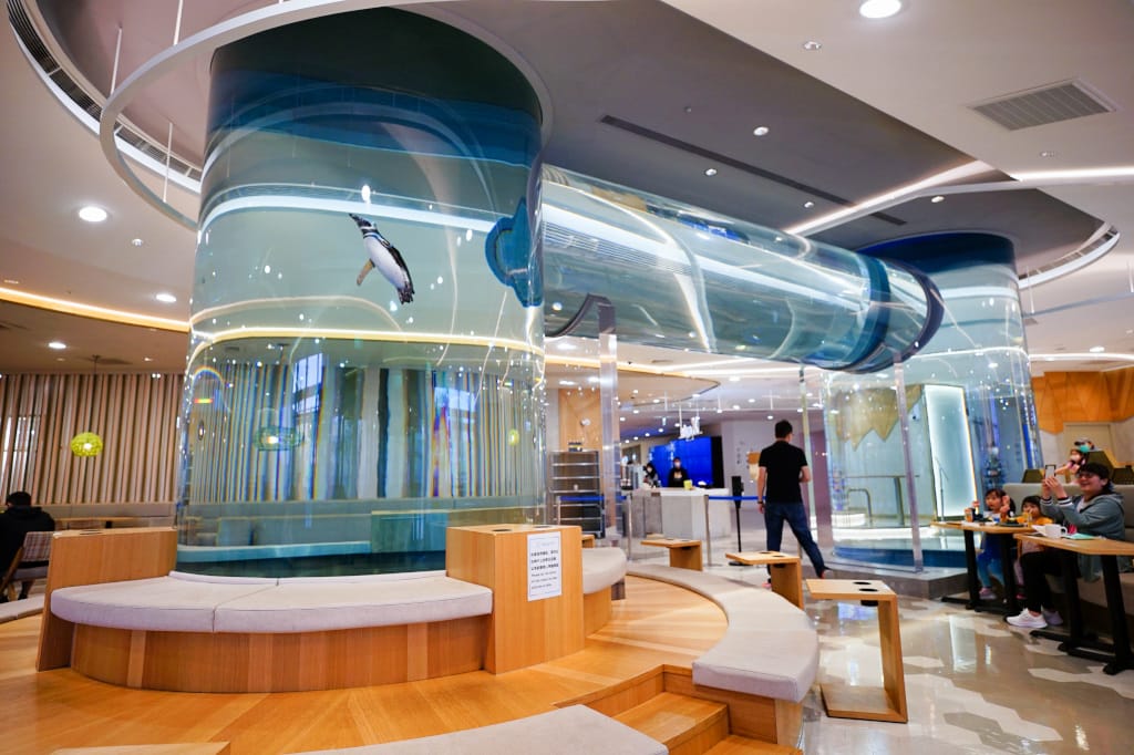桃園旅遊｜桃園親子景點 Xpark水族館 都會型水生公園（kkday購票）桃園雨天室內景點推薦！還可以近距離跟企鵝一起用餐~