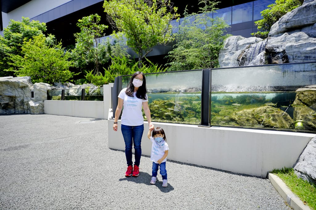 桃園旅遊｜桃園親子景點 Xpark水族館 都會型水生公園（kkday購票）桃園雨天室內景點推薦！還可以近距離跟企鵝一起用餐~