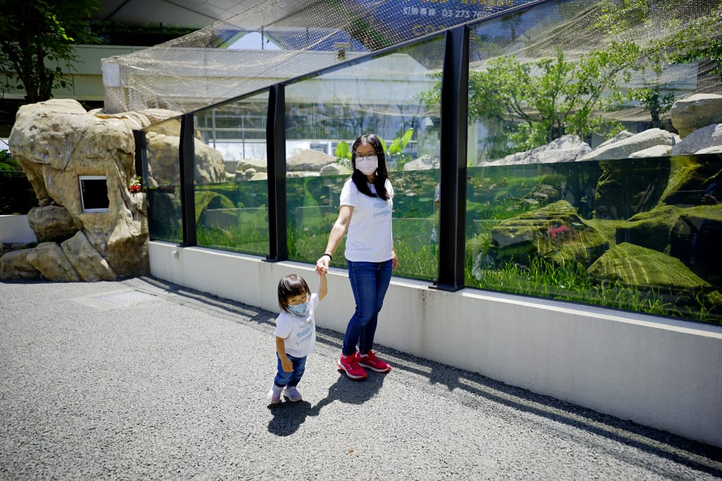 桃園旅遊｜桃園親子景點 Xpark水族館 都會型水生公園（kkday購票）桃園雨天室內景點推薦！還可以近距離跟企鵝一起用餐~
