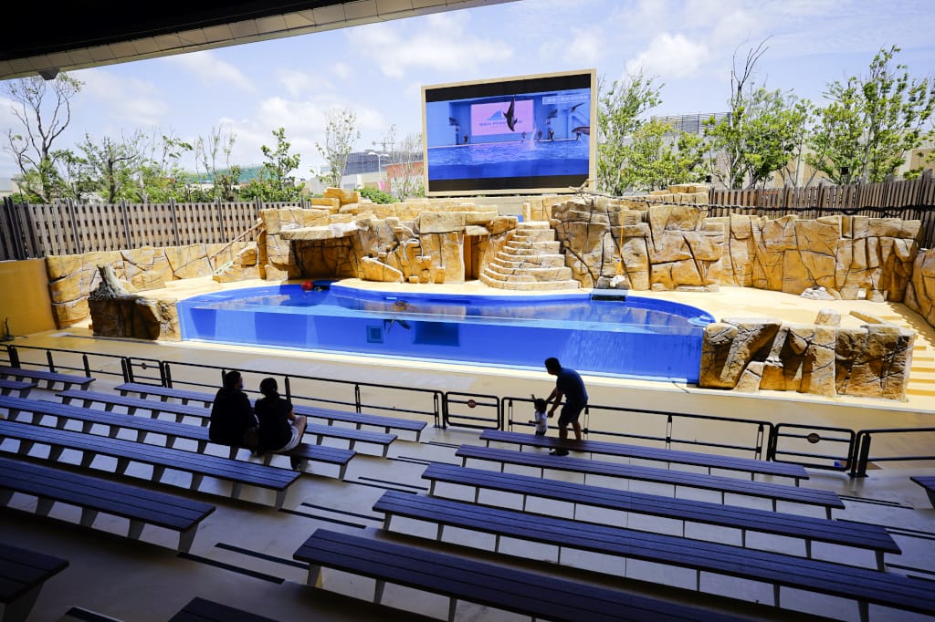 桃園旅遊｜桃園親子景點 Xpark水族館 都會型水生公園（kkday購票）桃園雨天室內景點推薦！還可以近距離跟企鵝一起用餐~