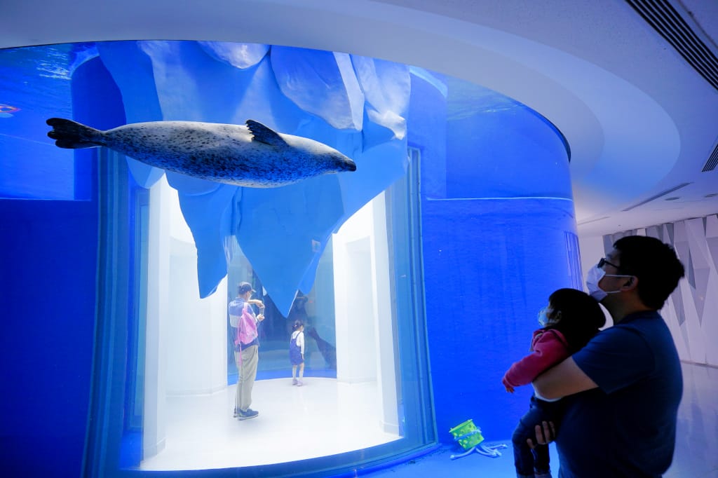 桃園旅遊｜桃園親子景點 Xpark水族館 都會型水生公園（kkday購票）桃園雨天室內景點推薦！還可以近距離跟企鵝一起用餐~