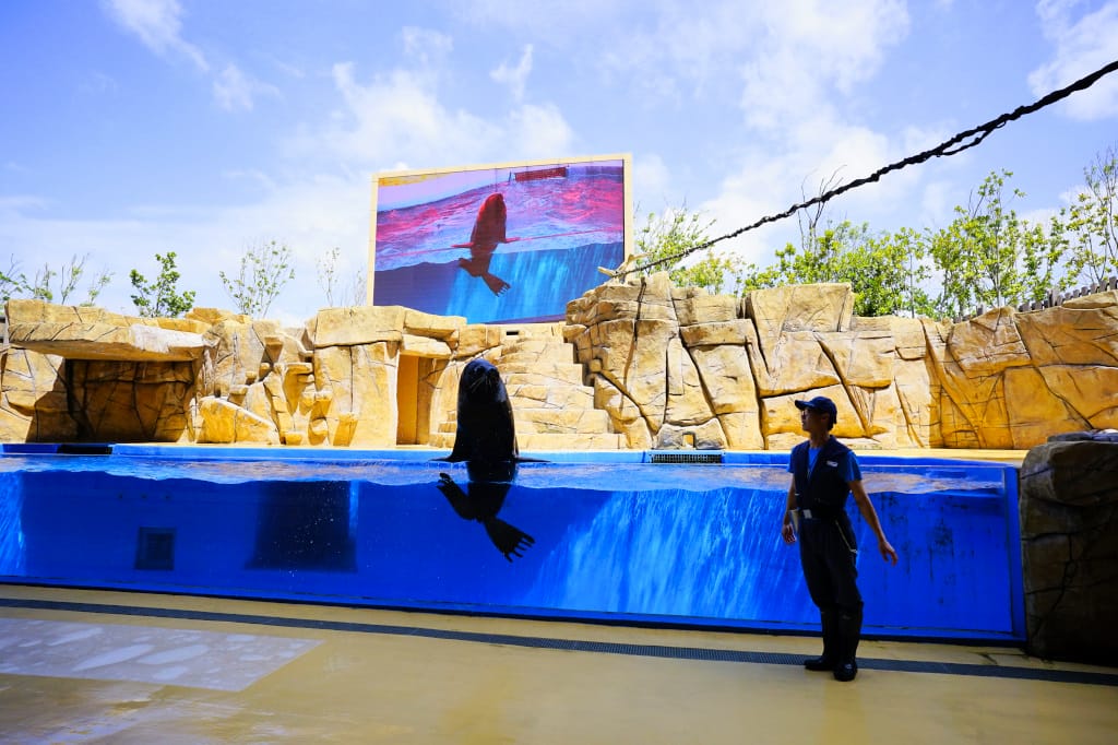桃園旅遊｜桃園親子景點 Xpark水族館 都會型水生公園（kkday購票）桃園雨天室內景點推薦！還可以近距離跟企鵝一起用餐~