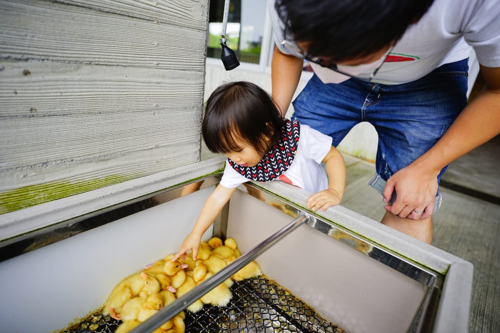 宜蘭民宿|冬山邸家親子民宿 宜蘭包棟民宿推薦!小朋友最愛的電動車、泳池~ - 第69張圖 宜蘭民宿|冬山邸家親子民宿 宜蘭包棟民宿推薦!小朋友最愛的電動車、泳池~