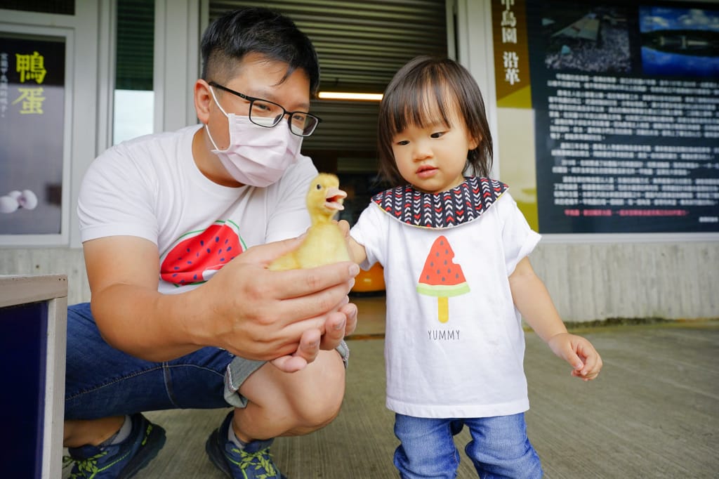 宜蘭民宿|冬山邸家親子民宿 宜蘭包棟民宿推薦!小朋友最愛的電動車、泳池~ - 第72張圖 宜蘭民宿|冬山邸家親子民宿 宜蘭包棟民宿推薦!小朋友最愛的電動車、泳池~