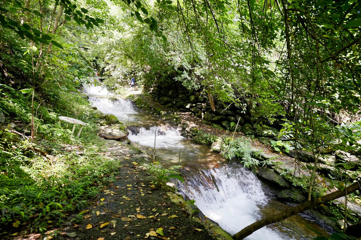 南投露營｜埔里聽瀑森林 可玩水營區、森林系營地推薦！少帳包區雨棚營位、山泉水獨立戲水區