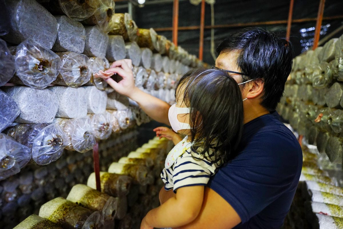 南投露營｜埔里聽瀑森林 可玩水營區、森林系營地推薦！少帳包區雨棚營位、山泉水獨立戲水區