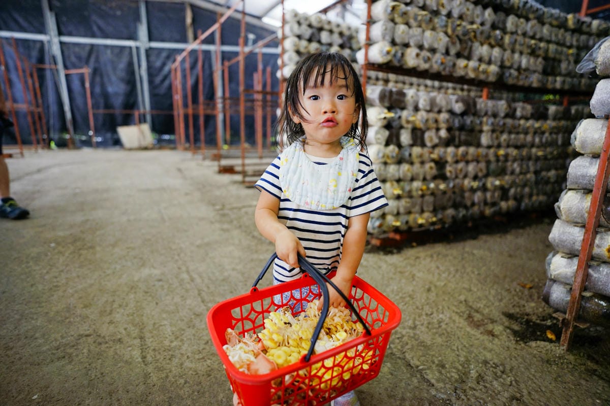 南投露營｜埔里聽瀑森林 可玩水營區、森林系營地推薦！少帳包區雨棚營位、山泉水獨立戲水區