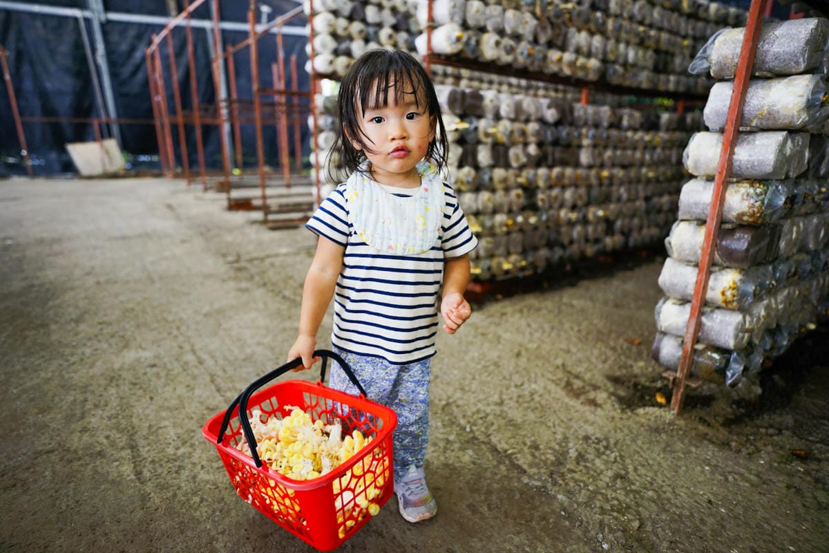 南投露營｜埔里聽瀑森林 可玩水營區、森林系營地推薦！少帳包區雨棚營位、山泉水獨立戲水區