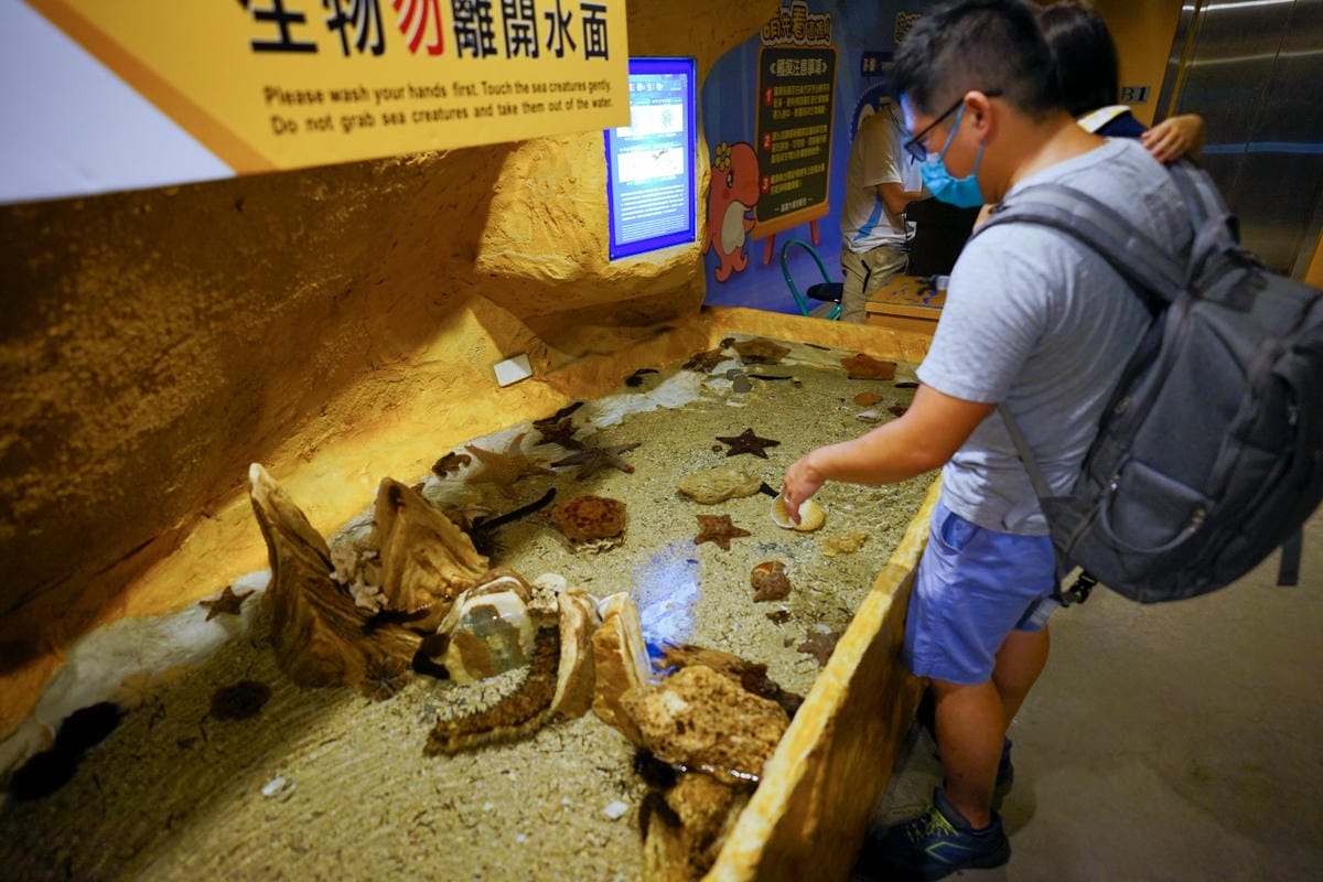 新北旅遊住宿|北海岸親子飯店推薦!薆悅酒店野柳渡假館 400坪親子遊戲室、海鮮自助餐吃到飽 順遊野柳女王頭、野柳海洋公園 - 第68張圖 新北旅遊住宿|北海岸親子飯店推薦!薆悅酒店野柳渡假館 400坪親子遊戲室、海鮮自助餐吃到飽 順遊野柳女王頭、野柳海洋公園