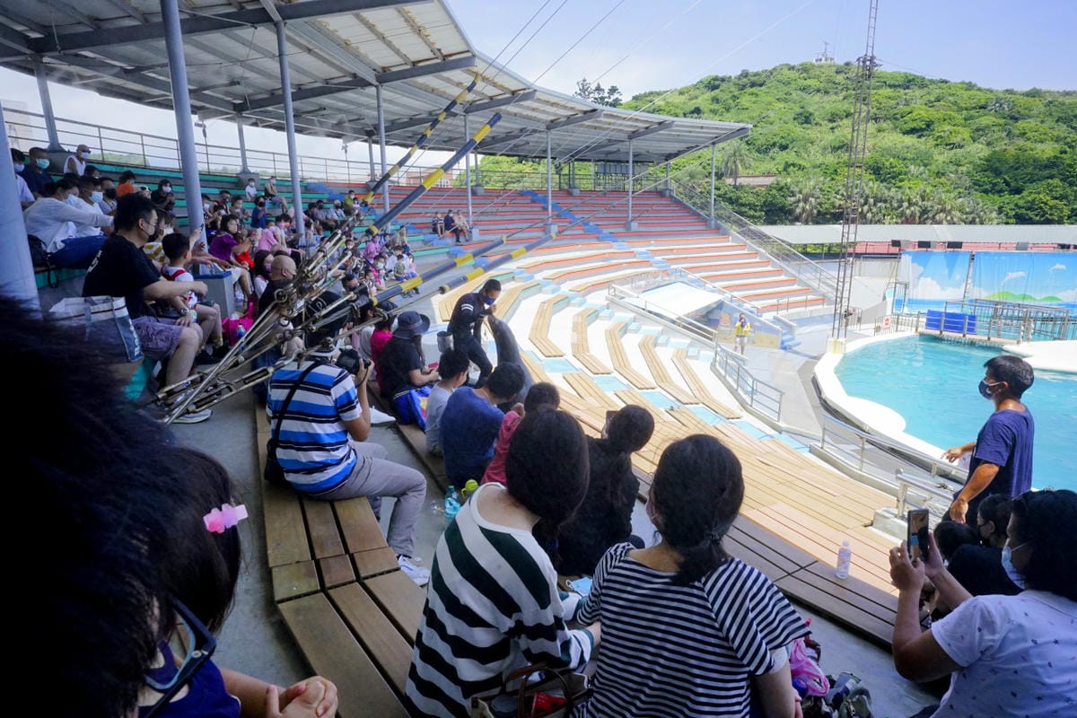 新北旅遊住宿|北海岸親子飯店推薦!薆悅酒店野柳渡假館 400坪親子遊戲室、海鮮自助餐吃到飽 順遊野柳女王頭、野柳海洋公園 - 第76張圖 新北旅遊住宿|北海岸親子飯店推薦!薆悅酒店野柳渡假館 400坪親子遊戲室、海鮮自助餐吃到飽 順遊野柳女王頭、野柳海洋公園