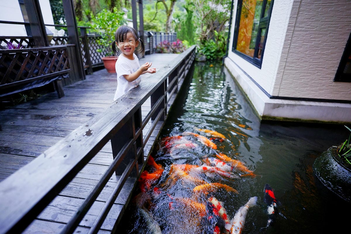 花蓮民宿｜花蓮親子民宿推薦！花蓮鯉魚潭民宿 潭心閣 親子友善、螢火蟲住宿推薦！小孩最愛的餵魚民宿~