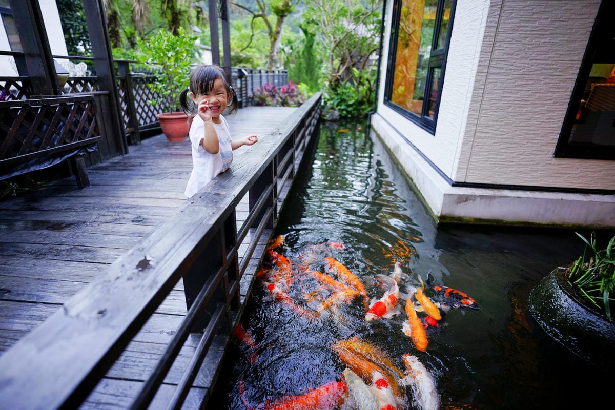 花蓮民宿｜花蓮親子民宿推薦！花蓮鯉魚潭民宿 潭心閣 親子友善、螢火蟲住宿推薦！小孩最愛的餵魚民宿~