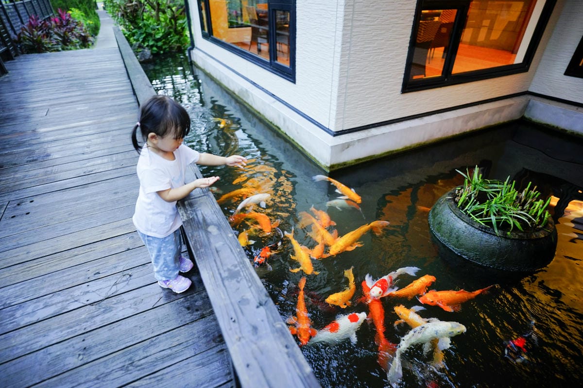 花蓮民宿｜花蓮親子民宿推薦！花蓮鯉魚潭民宿 潭心閣 親子友善、螢火蟲住宿推薦！小孩最愛的餵魚民宿~