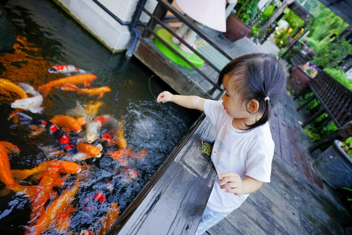 花蓮民宿｜花蓮親子民宿推薦！花蓮鯉魚潭民宿 潭心閣 親子友善、螢火蟲住宿推薦！小孩最愛的餵魚民宿~