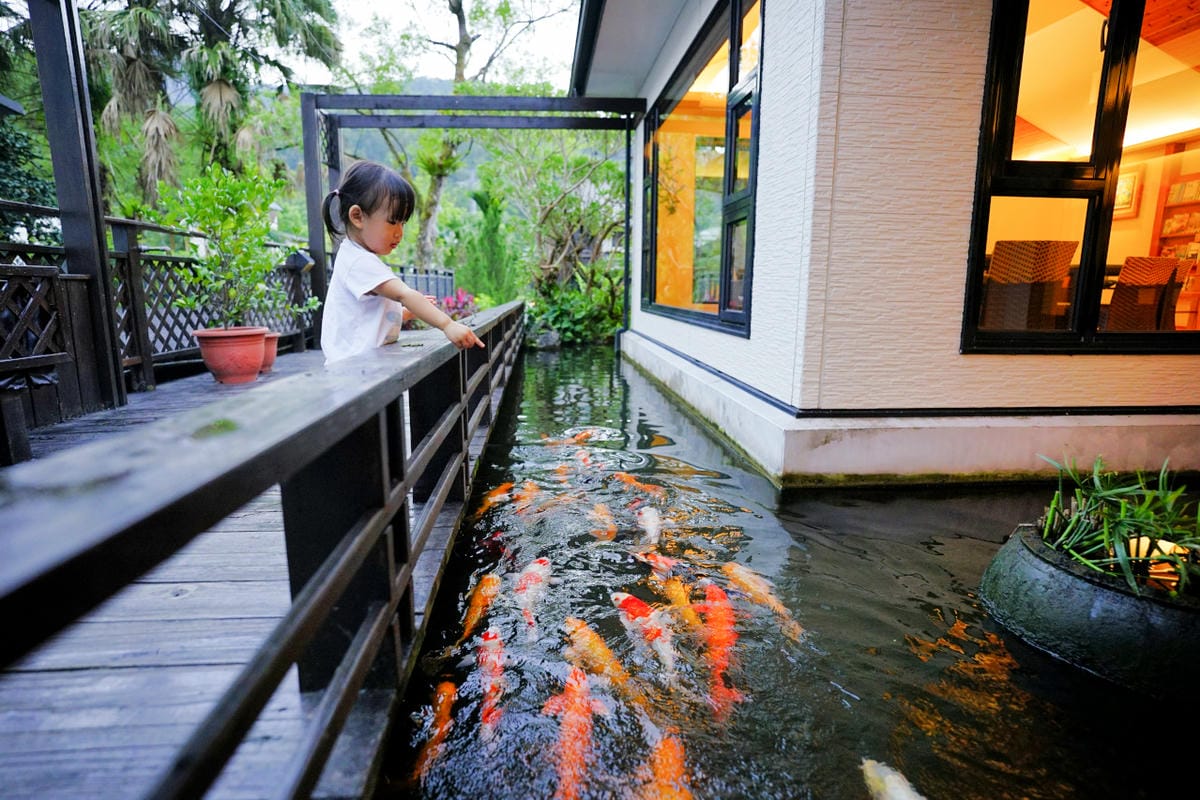 花蓮民宿｜花蓮親子民宿推薦！花蓮鯉魚潭民宿 潭心閣 親子友善、螢火蟲住宿推薦！小孩最愛的餵魚民宿~