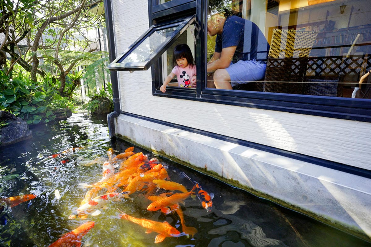 花蓮民宿｜花蓮親子民宿推薦！花蓮鯉魚潭民宿 潭心閣 親子友善、螢火蟲住宿推薦！小孩最愛的餵魚民宿~