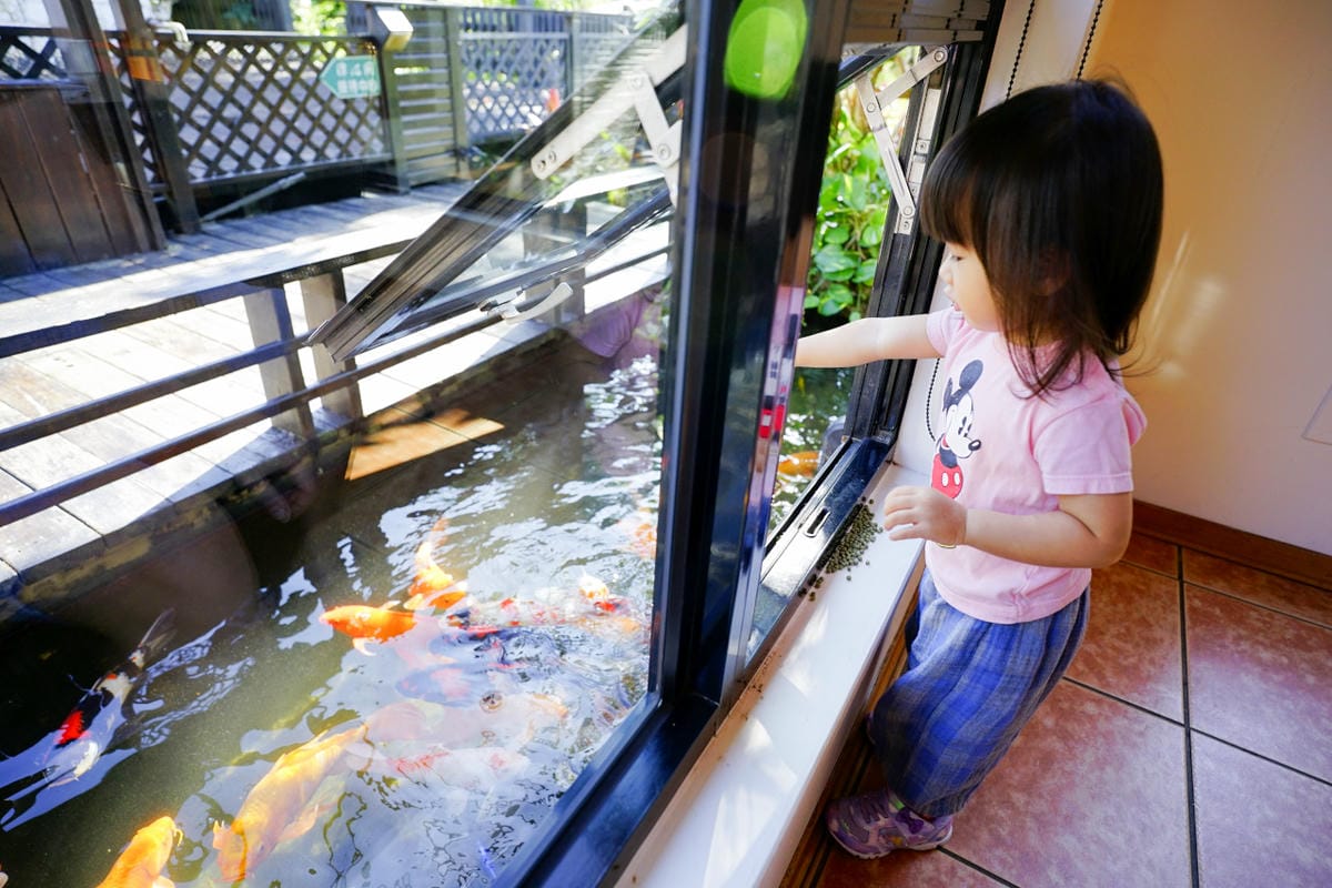 花蓮民宿｜花蓮親子民宿推薦！花蓮鯉魚潭民宿 潭心閣 親子友善、螢火蟲住宿推薦！小孩最愛的餵魚民宿~