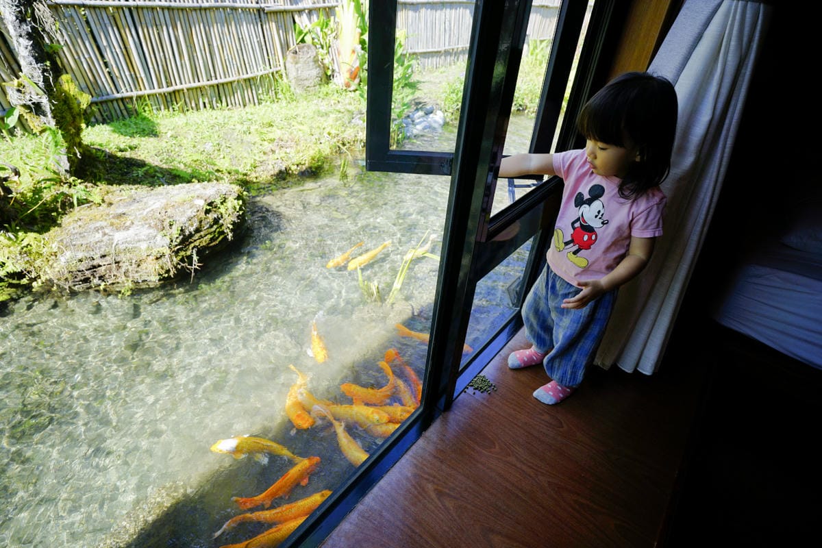 花蓮民宿｜花蓮親子民宿推薦！花蓮鯉魚潭民宿 潭心閣 親子友善、螢火蟲住宿推薦！小孩最愛的餵魚民宿~