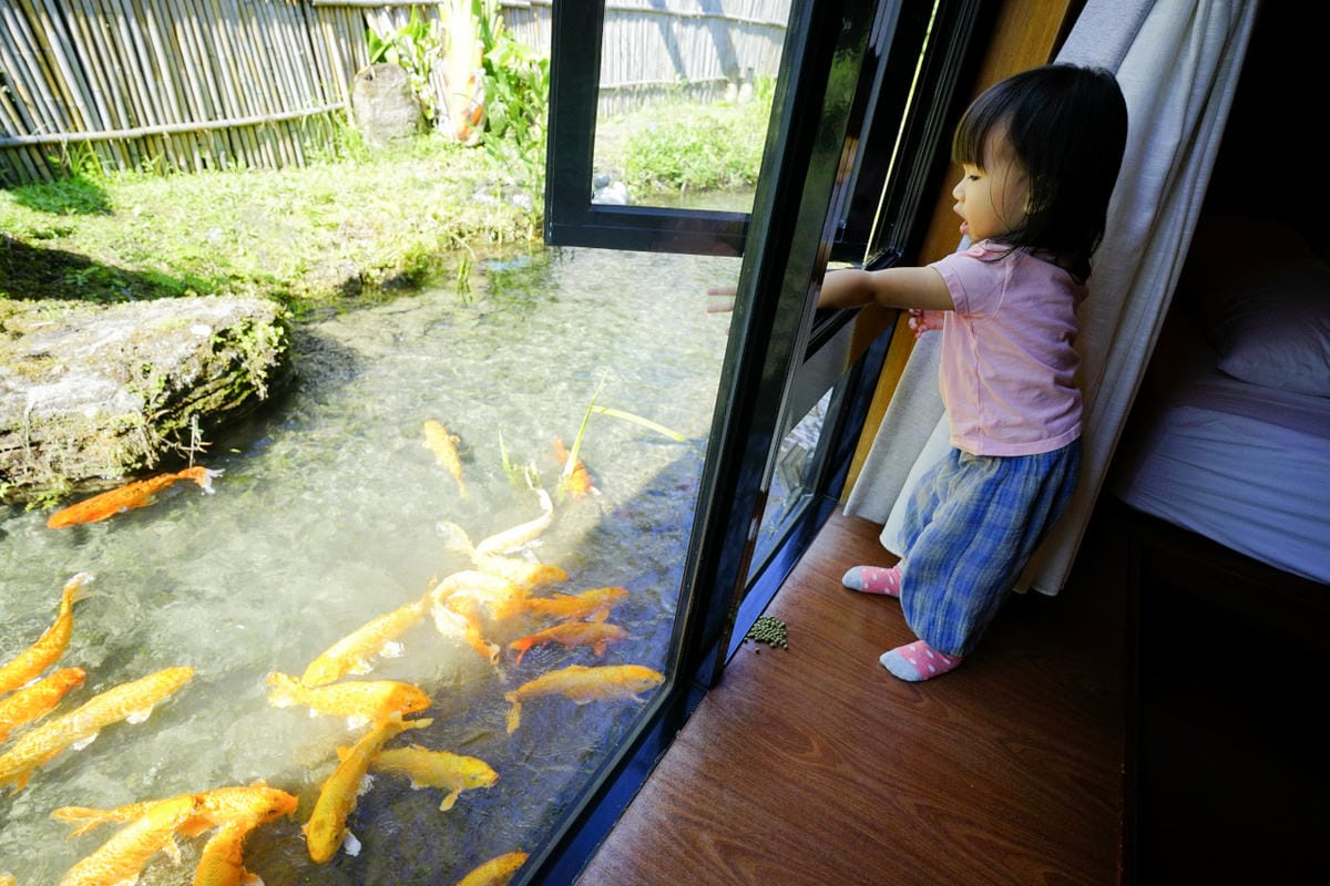 花蓮民宿｜花蓮親子民宿推薦！花蓮鯉魚潭民宿 潭心閣 親子友善、螢火蟲住宿推薦！小孩最愛的餵魚民宿~