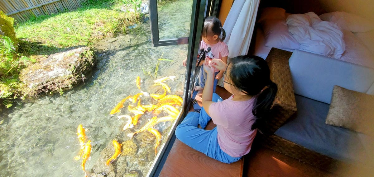 花蓮民宿｜花蓮親子民宿推薦！花蓮鯉魚潭民宿 潭心閣 親子友善、螢火蟲住宿推薦！小孩最愛的餵魚民宿~