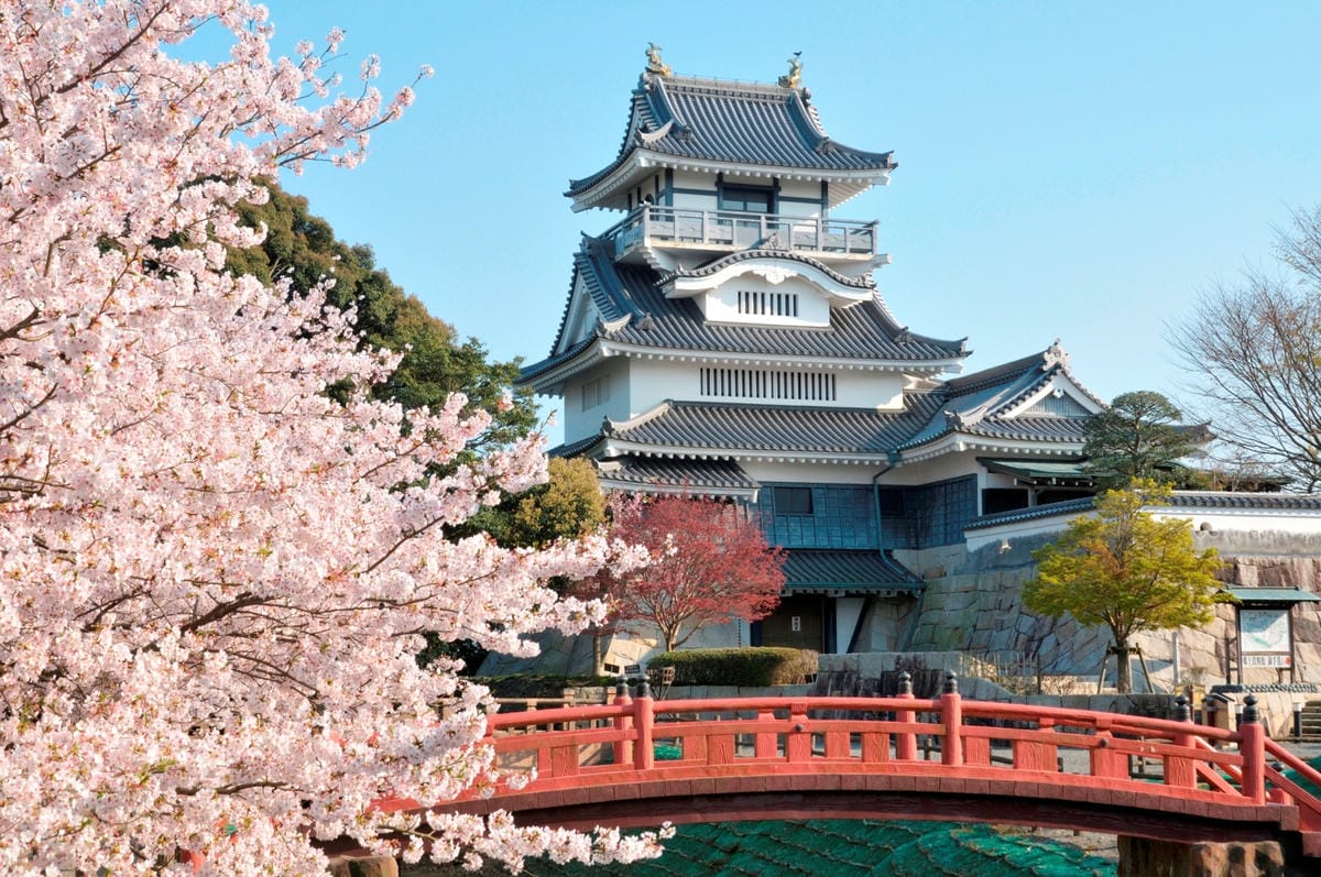 料理|2022蔦屋書店「靜岡美食FAIR」日本靜岡美食伴手禮推薦!鹽燒鯖薄片、靜岡竹簍烏龍麵 - 第3張圖 料理|2022蔦屋書店「靜岡美食FAIR」日本靜岡美食伴手禮推薦!鹽燒鯖薄片、靜岡竹簍烏龍麵