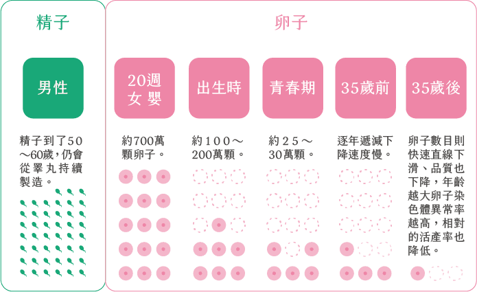 備孕分享|台中凍卵經驗談,凍卵不是越年輕越好!關於台中凍卵費用、流程說明 - 第2張圖 備孕分享|台中凍卵經驗談,凍卵不是越年輕越好!關於台中凍卵費用、流程說明
