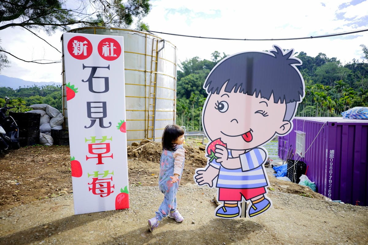 台中景點｜新社 石見草莓 台中採草莓、台中親子景點推薦！新社不只能採香菇，也能採草莓囉~