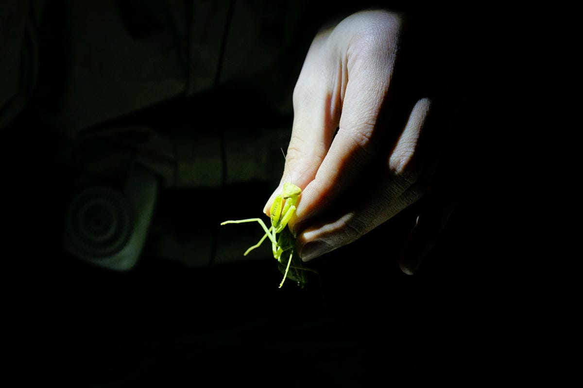 台中露營|清水 蟬說:夕陽漫漫 一泊二食豪華露營(生態導覽) 高美濕地台中懶人露營推薦! - 第58張圖 台中露營|清水 蟬說:夕陽漫漫 一泊二食豪華露營(生態導覽) 高美濕地台中懶人露營推薦!