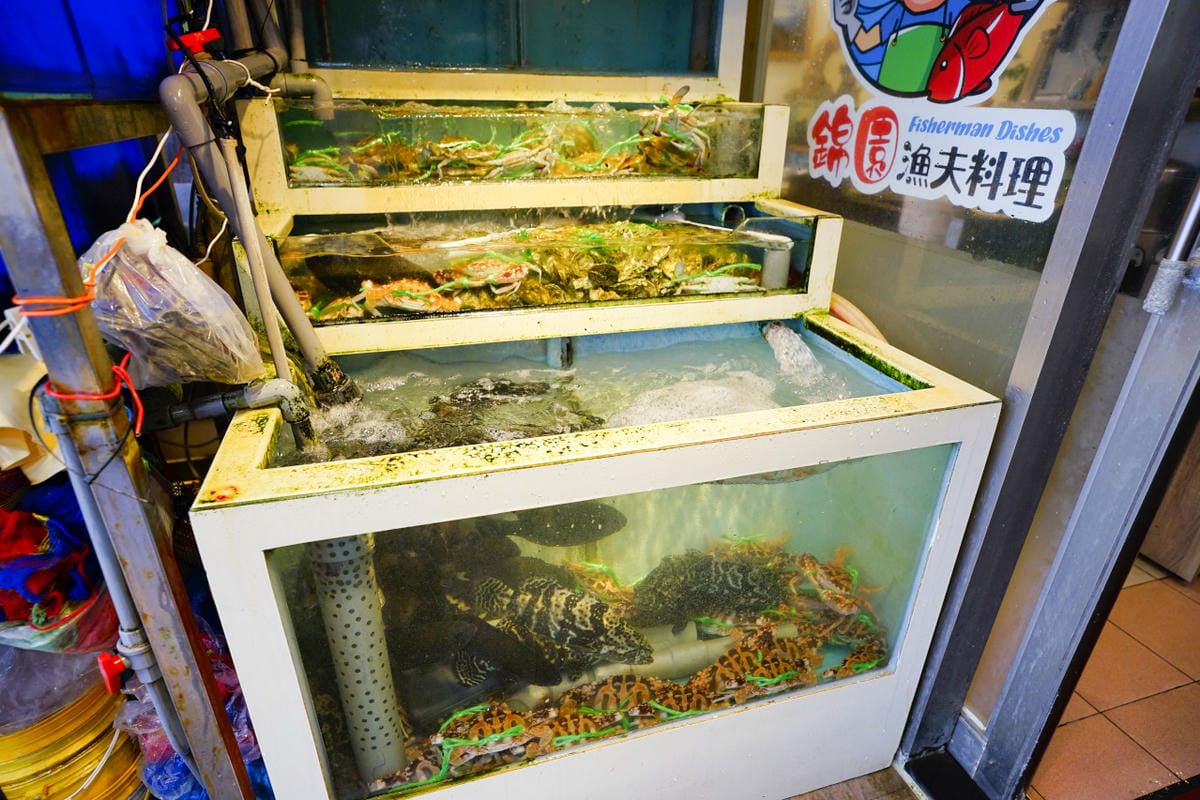 新北食記|萬里海產推薦!錦園漁夫料理 現撈活海鮮,來野柳就是要吃「漁夫痛風餐」~ - 第6張圖 新北食記|萬里海產推薦!錦園漁夫料理 現撈活海鮮,來野柳就是要吃「漁夫痛風餐」~