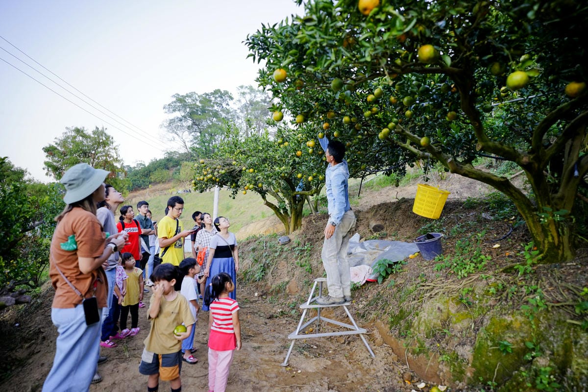 苗栗露營|花香果樂露營區 營區免費採橘子,超新衛浴、冰箱 苗栗親子營區推薦! - 第18張圖 苗栗露營|花香果樂露營區 營區免費採橘子,超新衛浴、冰箱 苗栗親子營區推薦!