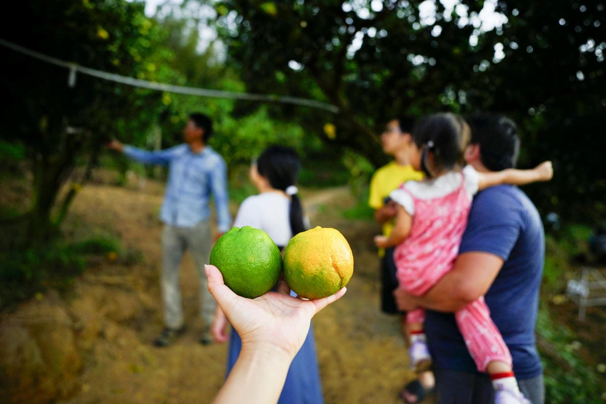 苗栗露營|花香果樂露營區 營區免費採橘子,超新衛浴、冰箱 苗栗親子營區推薦! - 第20張圖 苗栗露營|花香果樂露營區 營區免費採橘子,超新衛浴、冰箱 苗栗親子營區推薦!