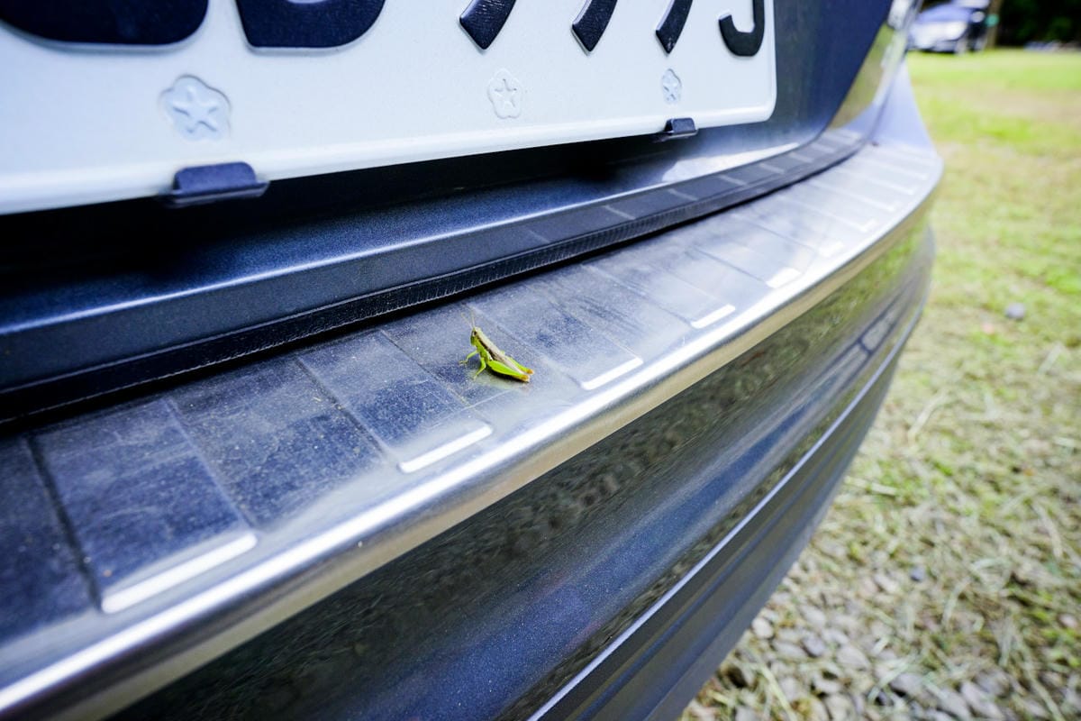 苗栗露營|森林系營地 肖楠美地 檜木林下露營! - 第21張圖 苗栗露營|森林系營地 肖楠美地 檜木林下露營!