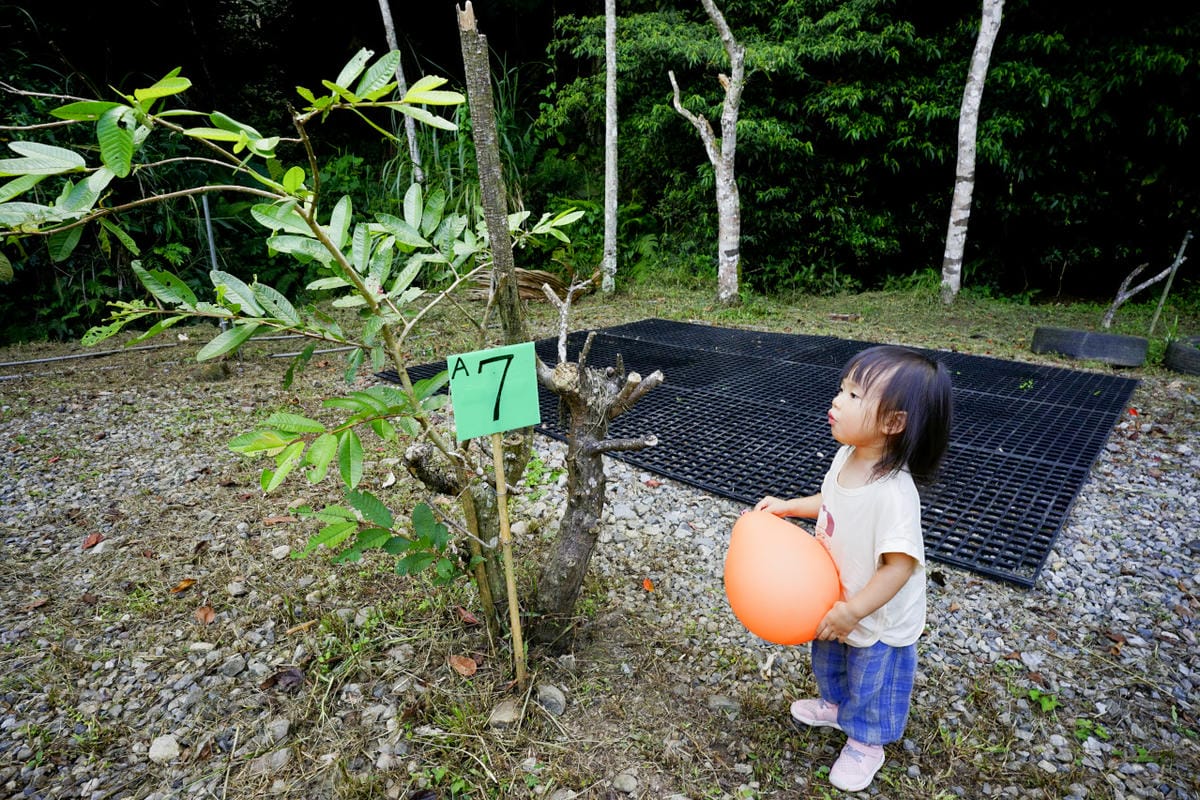 苗栗露營|森林系營地 肖楠美地 檜木林下露營! - 第4張圖 苗栗露營|森林系營地 肖楠美地 檜木林下露營!