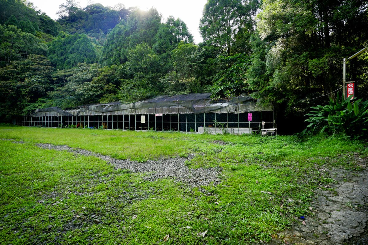 苗栗露營|森林系營地 肖楠美地 檜木林下露營! - 第13張圖 苗栗露營|森林系營地 肖楠美地 檜木林下露營!