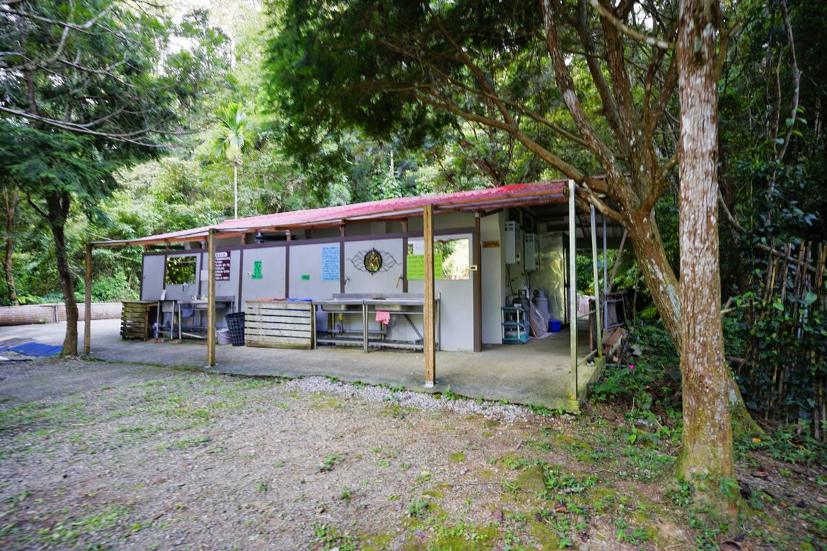 苗栗露營|森林系營地 肖楠美地 檜木林下露營! - 第18張圖 苗栗露營|森林系營地 肖楠美地 檜木林下露營!