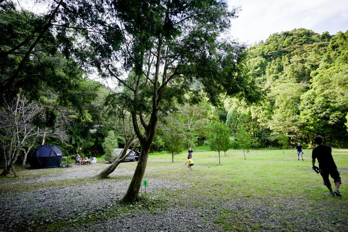 苗栗露營｜森林系營地 肖楠美地 檜木林下露營！