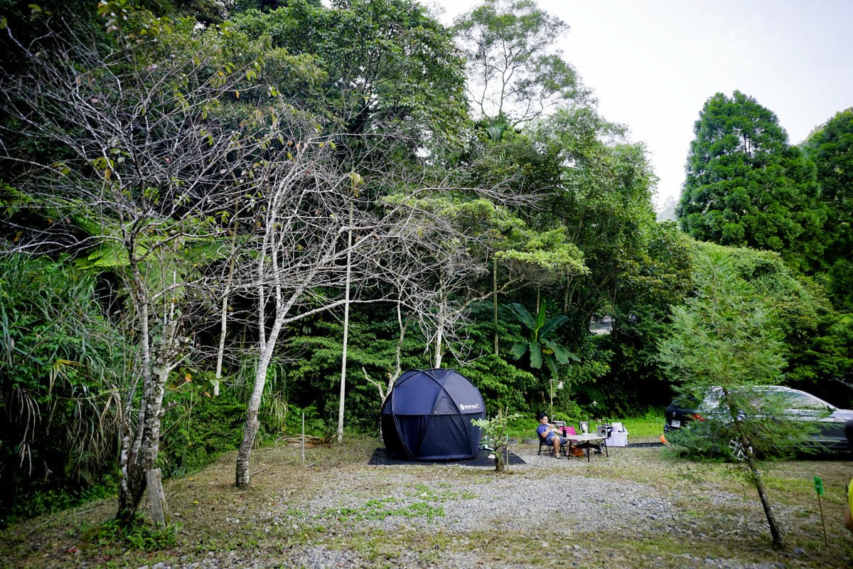 苗栗露營|森林系營地 肖楠美地 檜木林下露營! - 第5張圖 苗栗露營|森林系營地 肖楠美地 檜木林下露營!