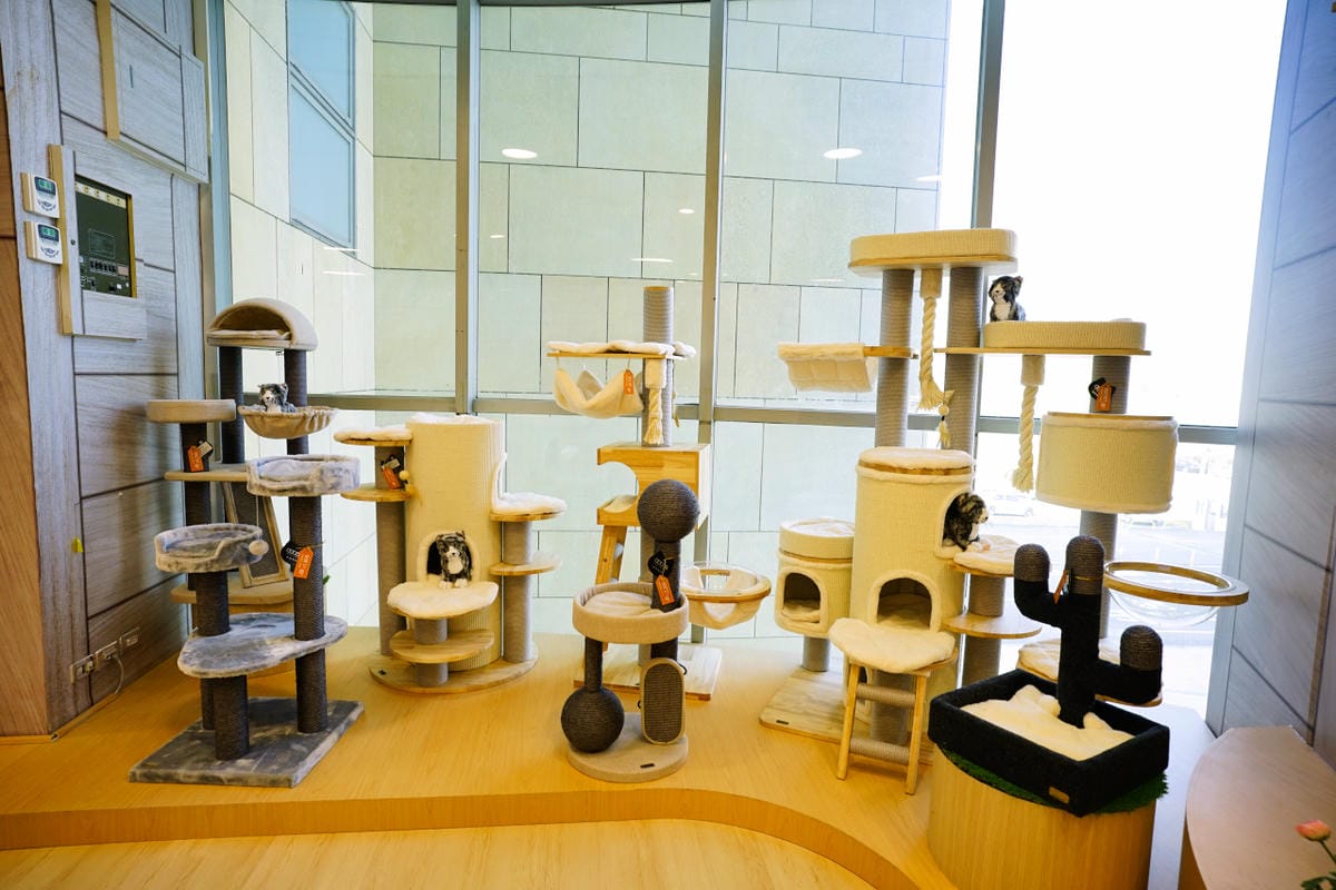 桃園食記|TGI FRIDAYS 情人節大餐!情人節還沒規劃好嗎?盤點不踩雷約會餐廳,寵愛情人的腹餓帶,想來場最浪漫的情人節,就選中壢大江購物中心! - 第77張圖 桃園食記|TGI FRIDAYS 情人節大餐!情人節還沒規劃好嗎?盤點不踩雷約會餐廳,寵愛情人的腹餓帶,想來場最浪漫的情人節,就選中壢大江購物中心!