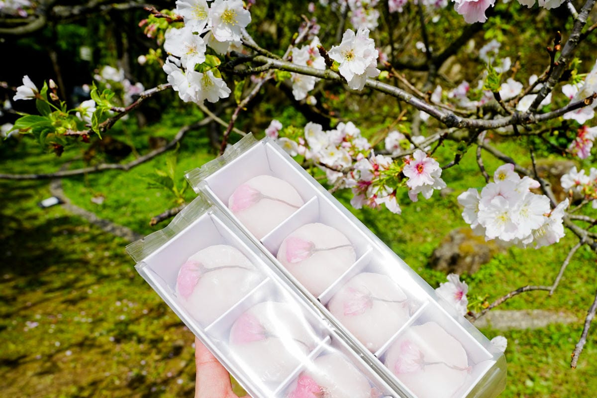 甜點｜賞櫻必備甜點推薦！明月堂 日式手工櫻花和菓子