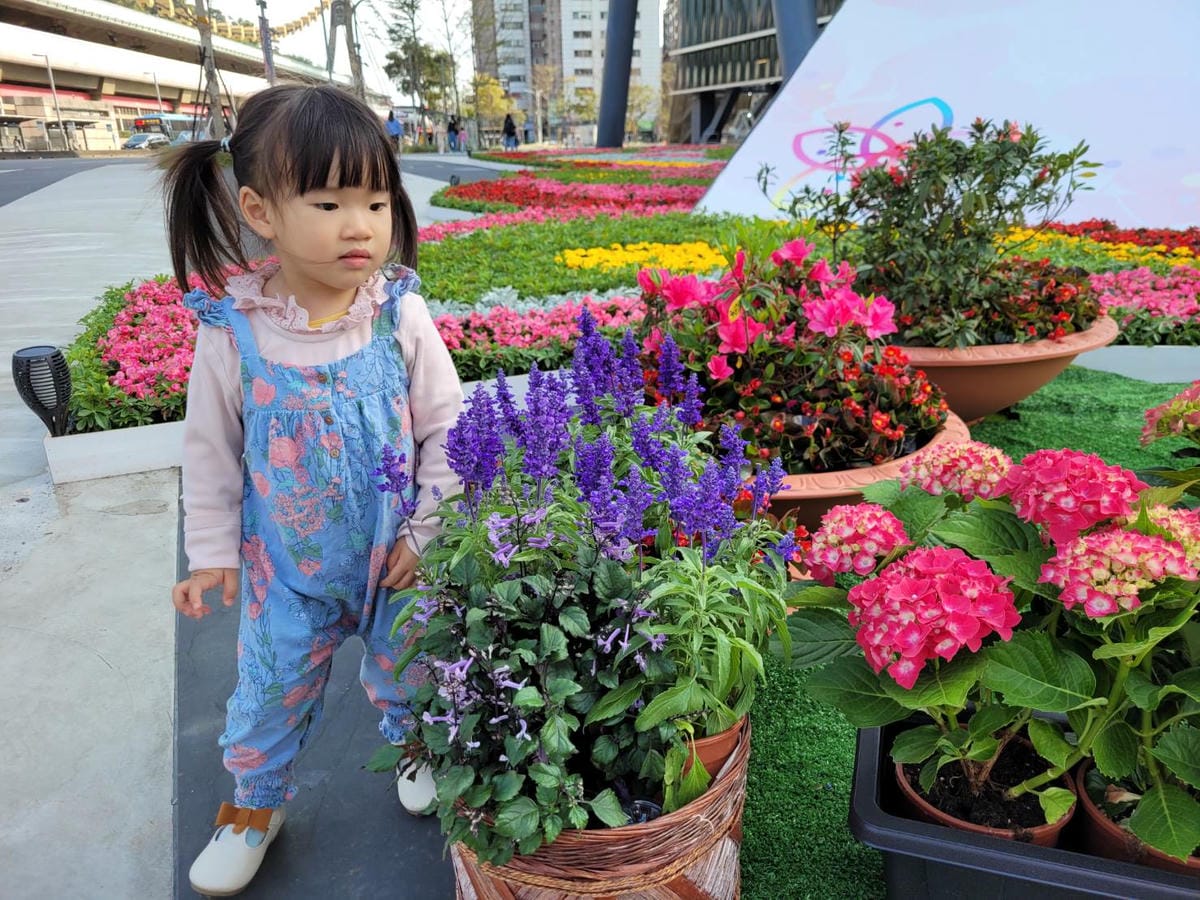 台北景點｜2023台北花節 陽明山花季 陽明公園櫻花、杜鵑花齊開美景