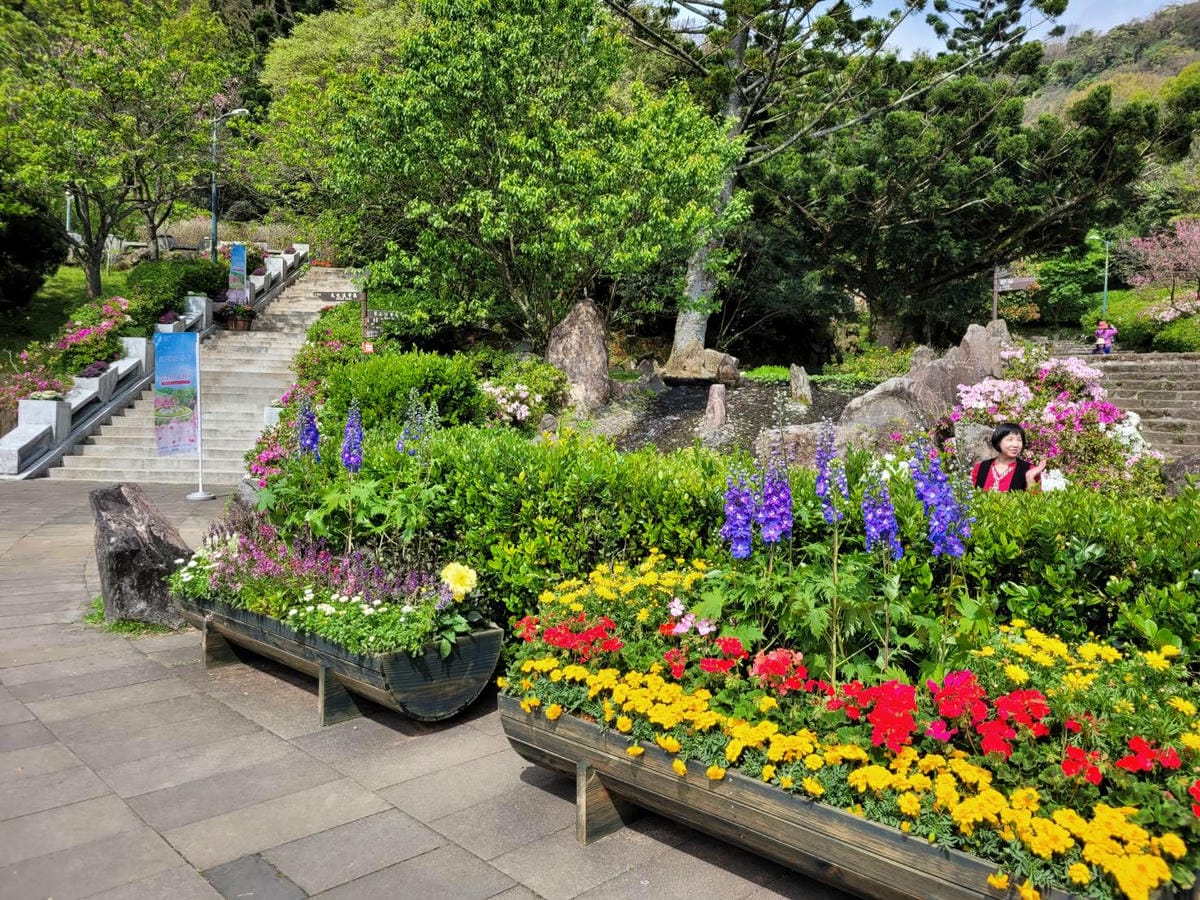 台北景點｜2023台北花節 陽明山花季 陽明公園櫻花、杜鵑花齊開美景